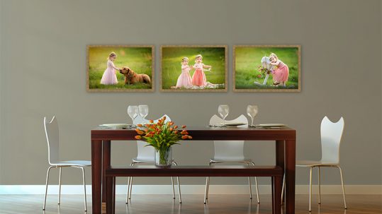 dining room stock room scene for photographers